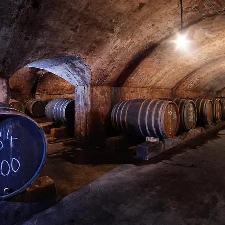 Ferienwohnungen Dr Wagner ساربورغ