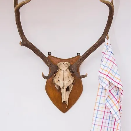 بيت للعطل Ferienwohnungen Dr Wagner *