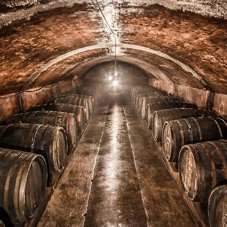 Dr Wagner Holiday home *