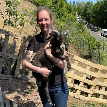 Casa de Férias Weingut Dr Wagner Saarburg