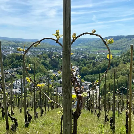 Vakantiehuis Dr Wagner Saarburg