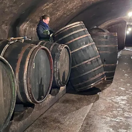 Weingut Dr Wagner Casa de Férias Saarburg