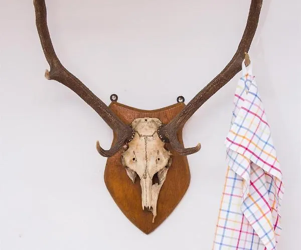 Vakantiehuis Dr Wagner *