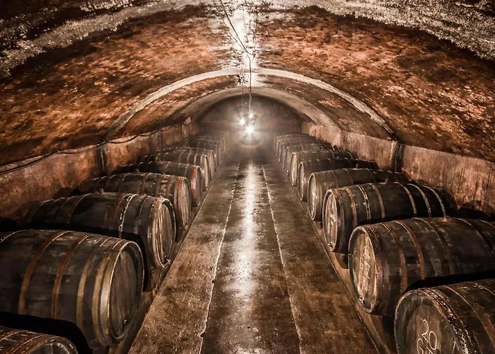 Dr Wagner Holiday home *