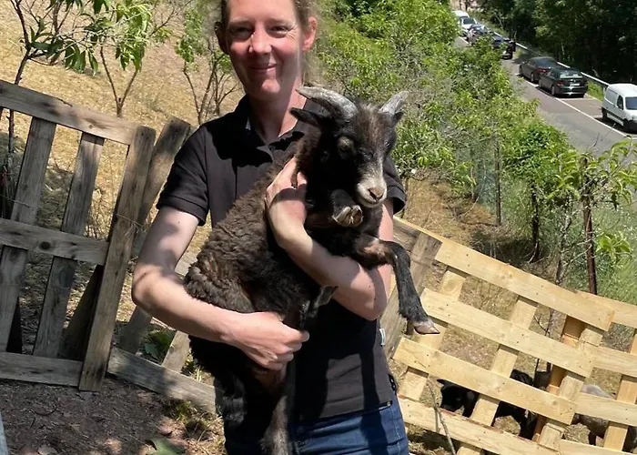 Vakantiehuis Dr Wagner Saarburg