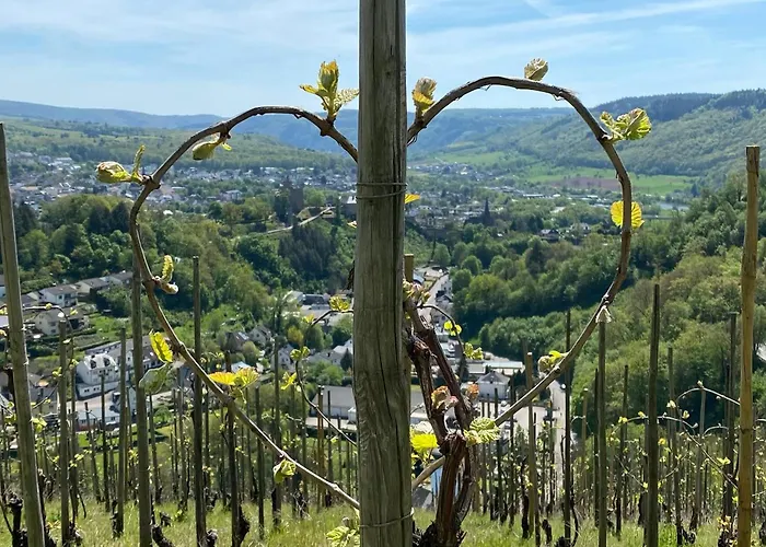 Vakantiehuis Dr Wagner Saarburg