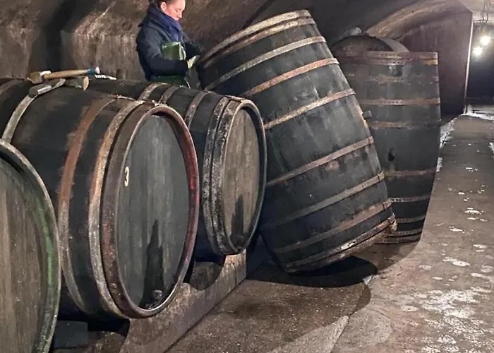 Dr Wagner Holiday home Saarburg